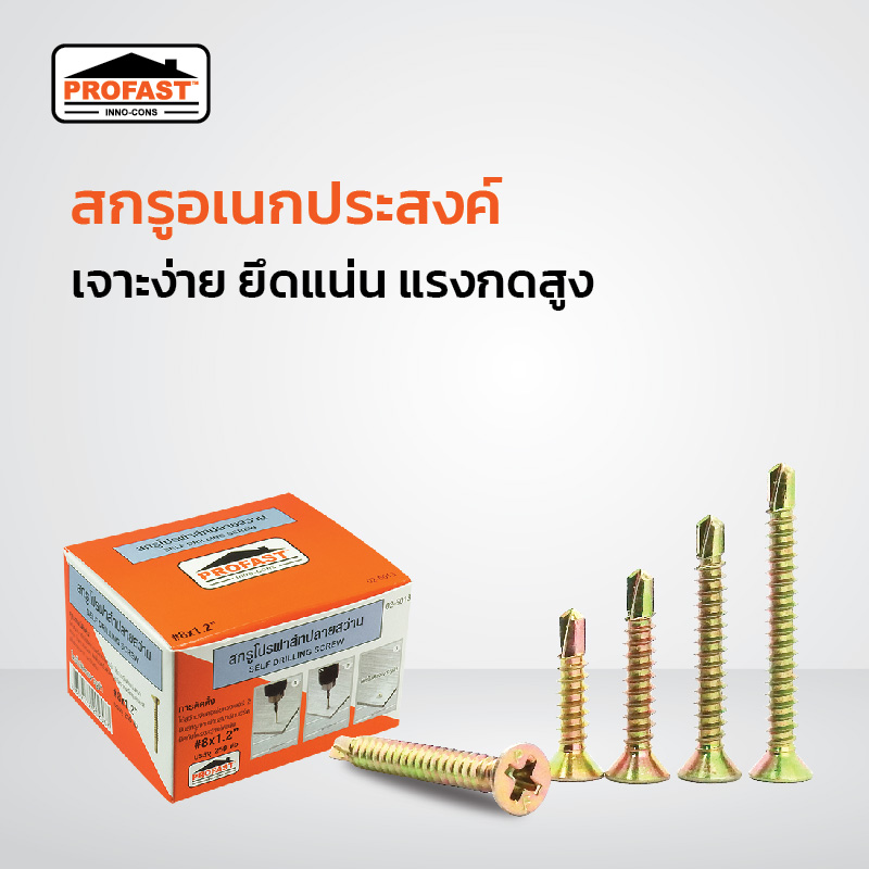 สกรูปลายสว่าน สกรูโปรฟาสท์